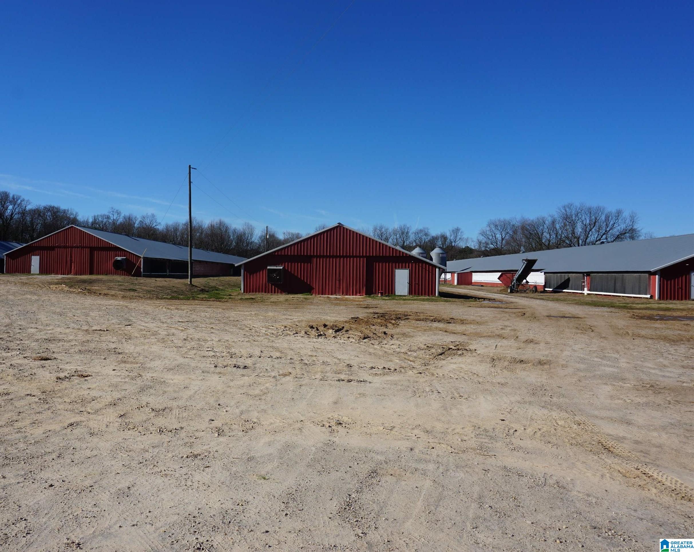 10171 County Road 87 Roanoke, AL 36274 - Photo 34 of 42