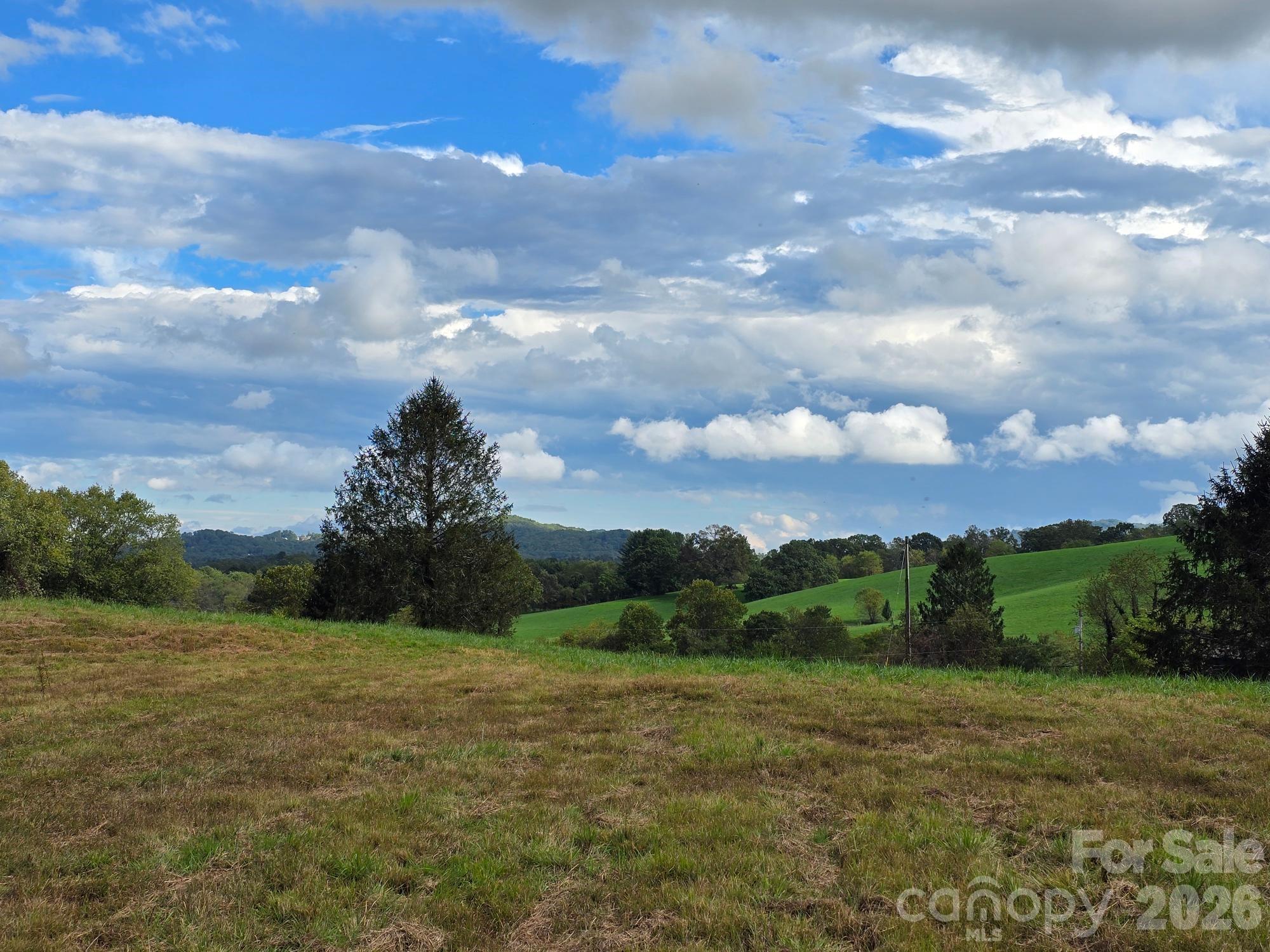 128 Cook Lane Mills River, NC 28759 - Photo 12 of 44