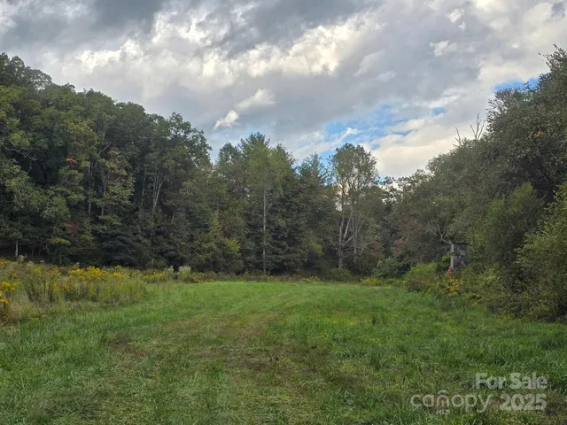 a view of outdoor space with green field and trees all around