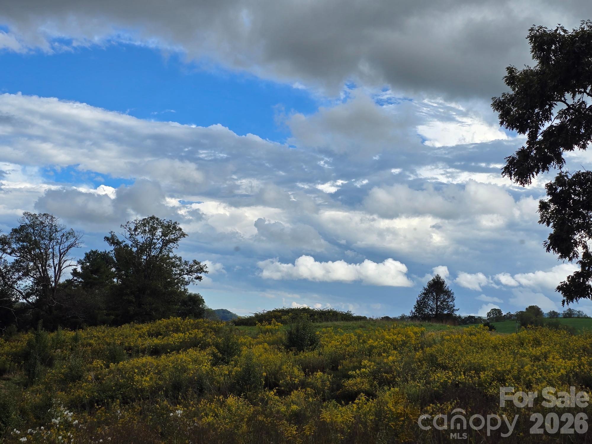 128 Cook Lane Mills River, NC 28759 - Photo 15 of 44