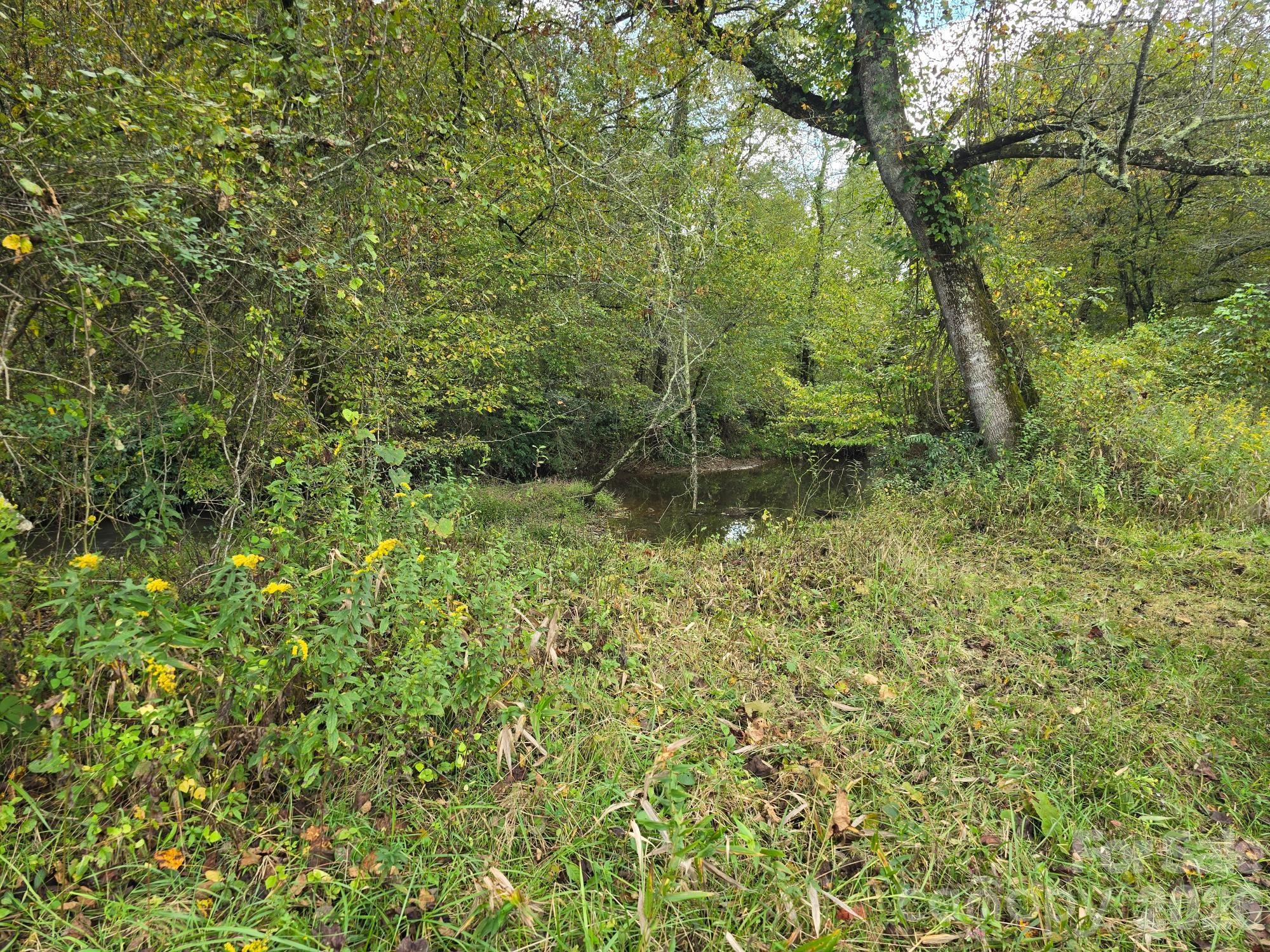 128 Cook Lane Mills River, NC 28759 - Photo 17 of 44