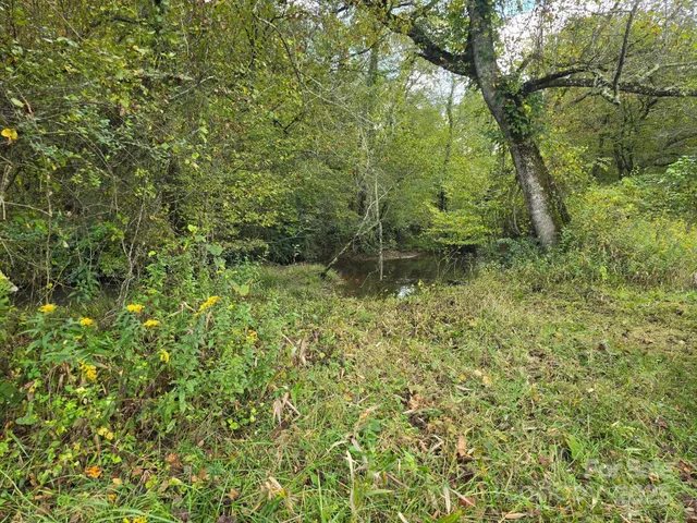 a view of a yard with plants and trees