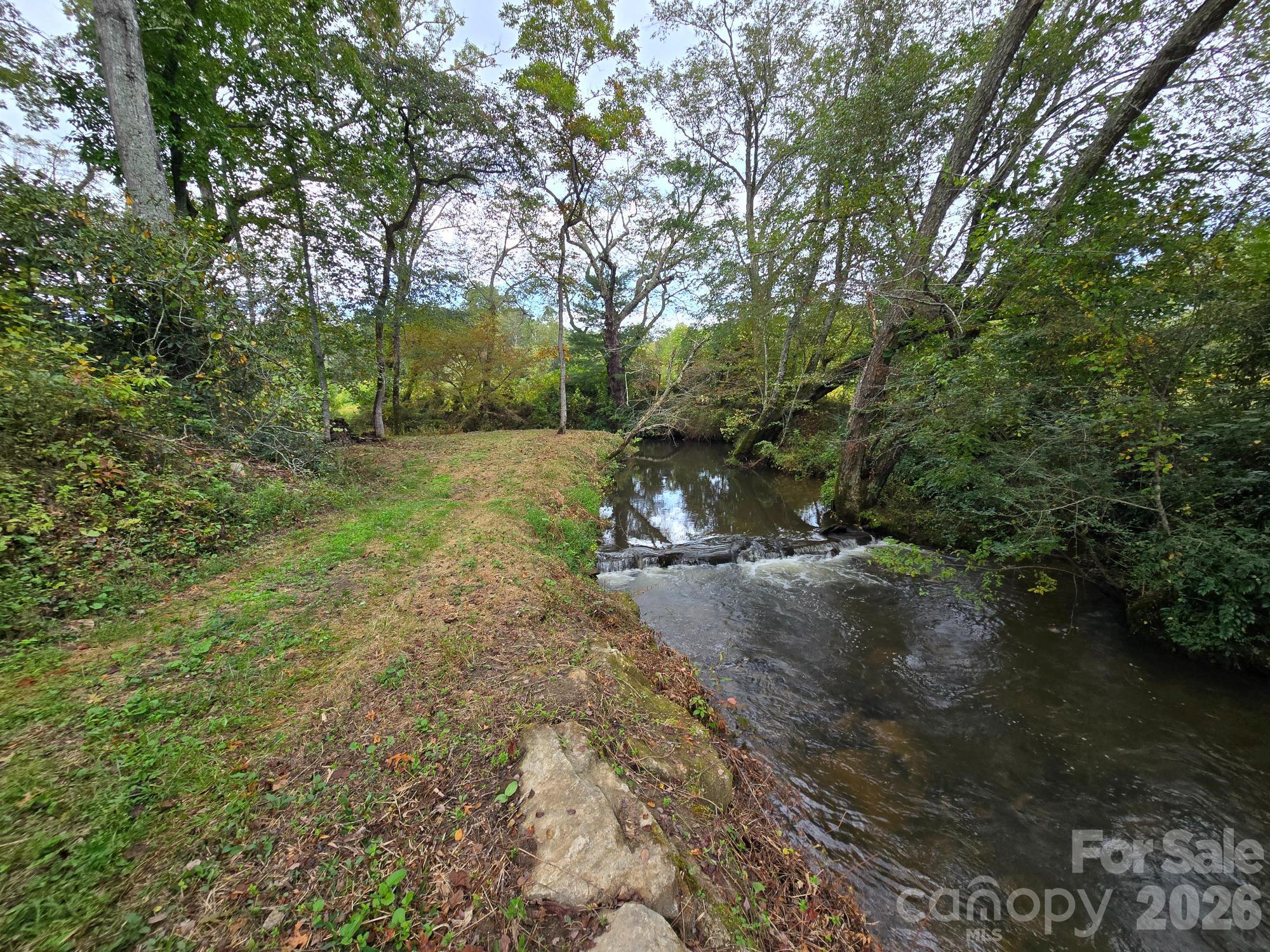 128 Cook Lane Mills River, NC 28759 - Photo 19 of 44