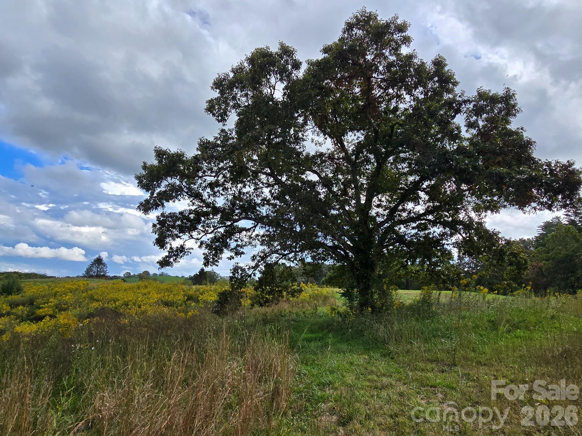128 Cook Lane Mills River, NC 28759 - Photo 2 of 44