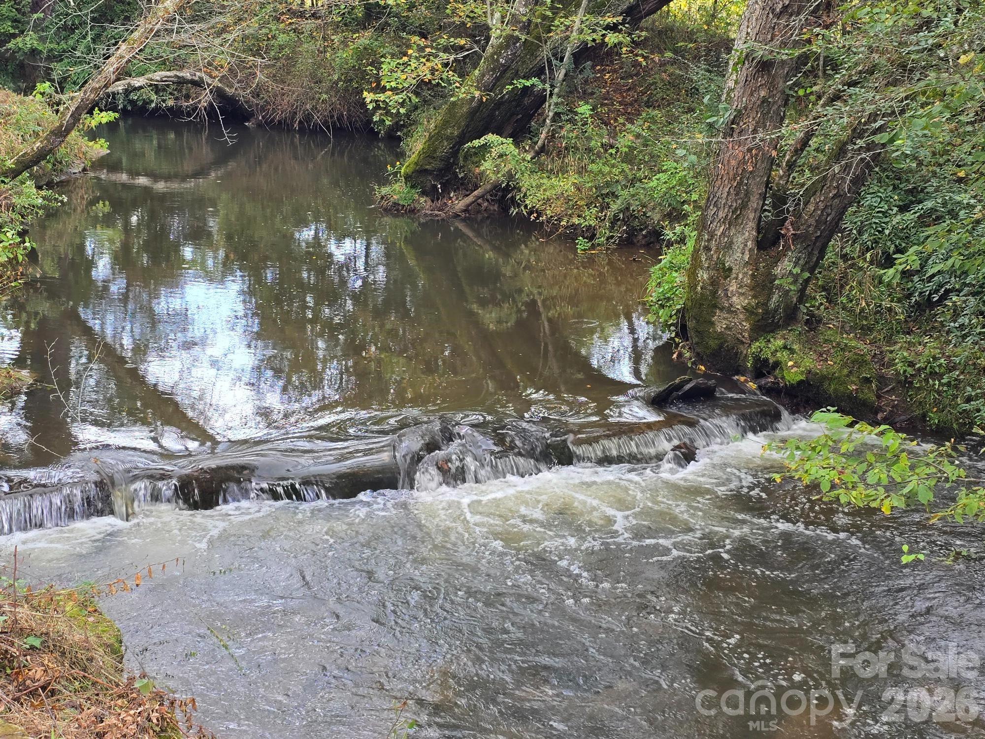 128 Cook Lane Mills River, NC 28759 - Photo 3 of 44