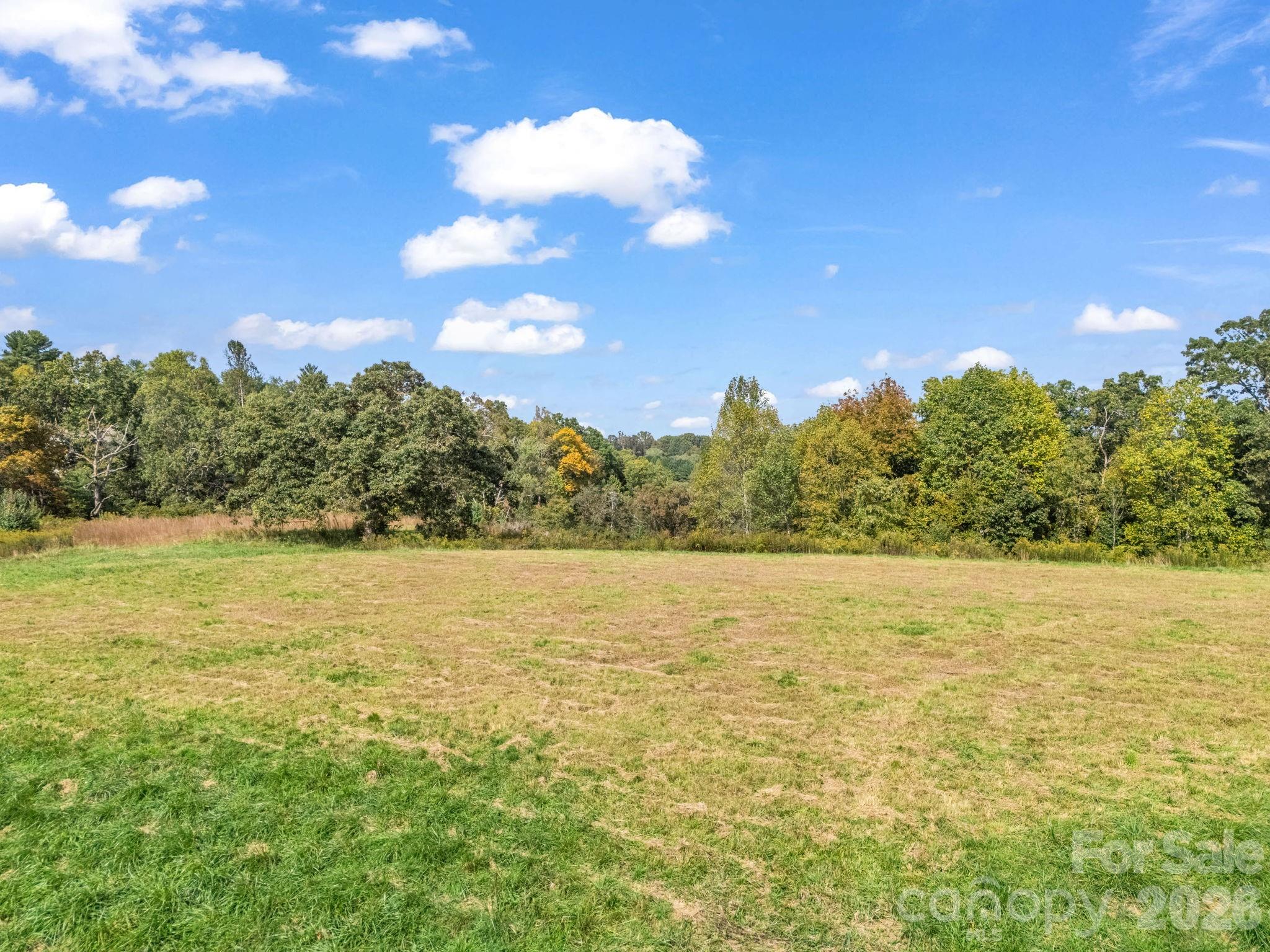 128 Cook Lane Mills River, NC 28759 - Photo 31 of 44