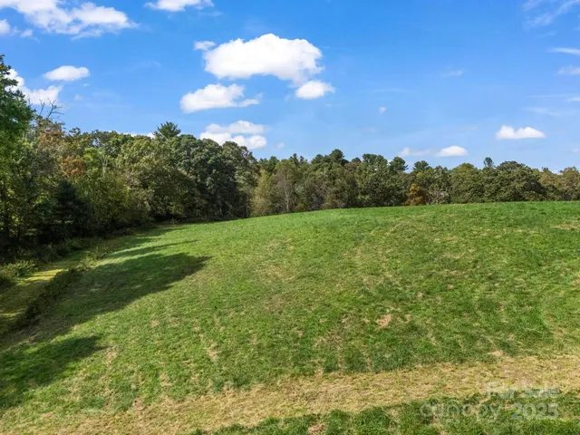 a view of a garden with an tree