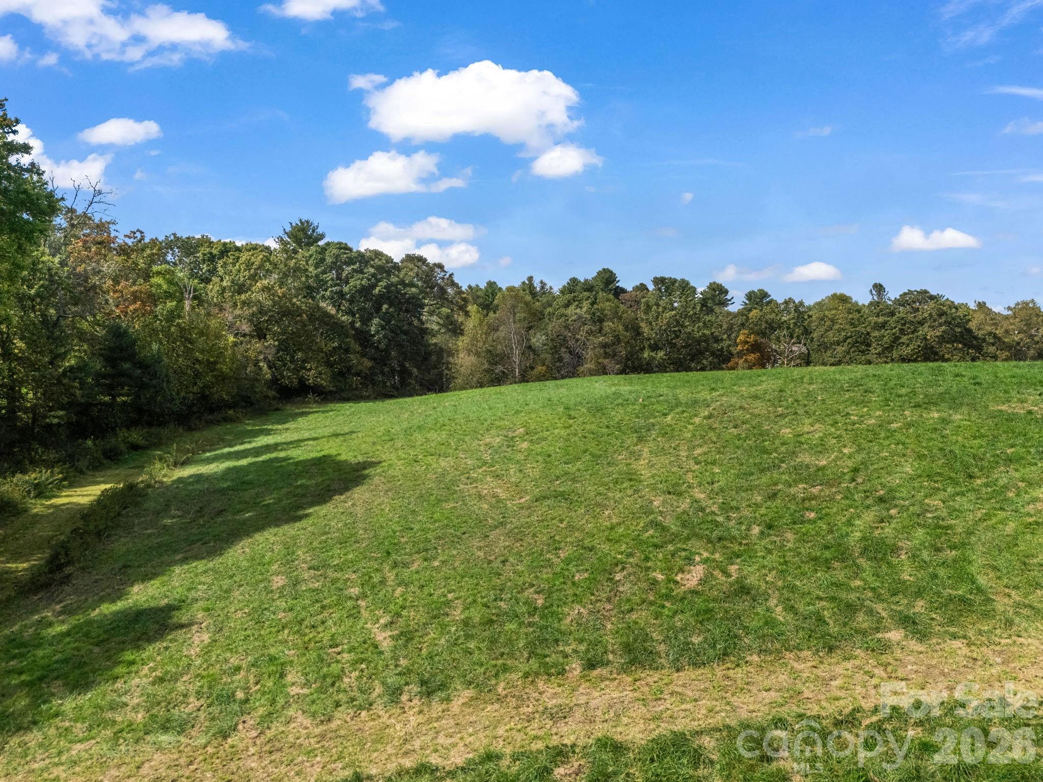 128 Cook Lane Mills River, NC 28759 - Photo 32 of 44