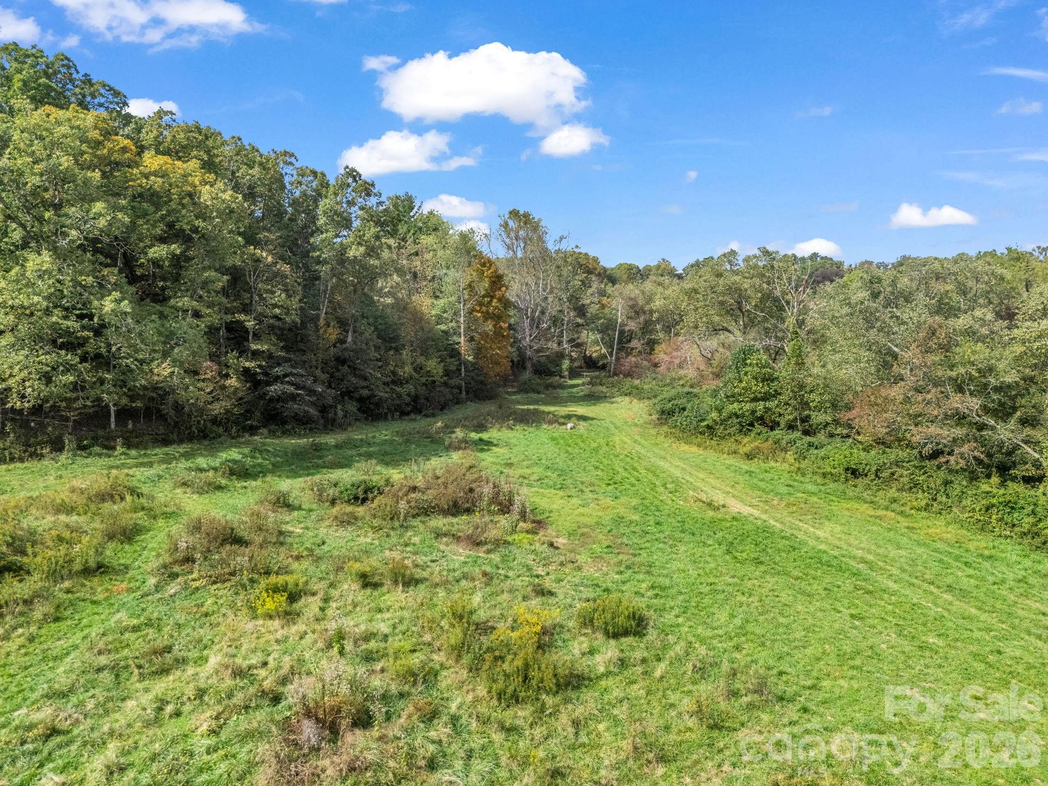 128 Cook Lane Mills River, NC 28759 - Photo 34 of 44