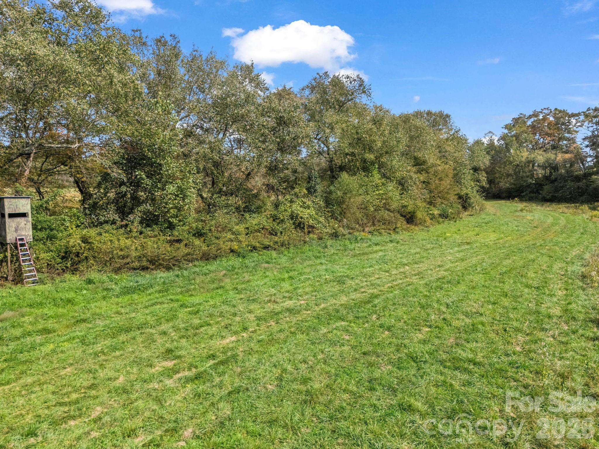 128 Cook Lane Mills River, NC 28759 - Photo 35 of 44