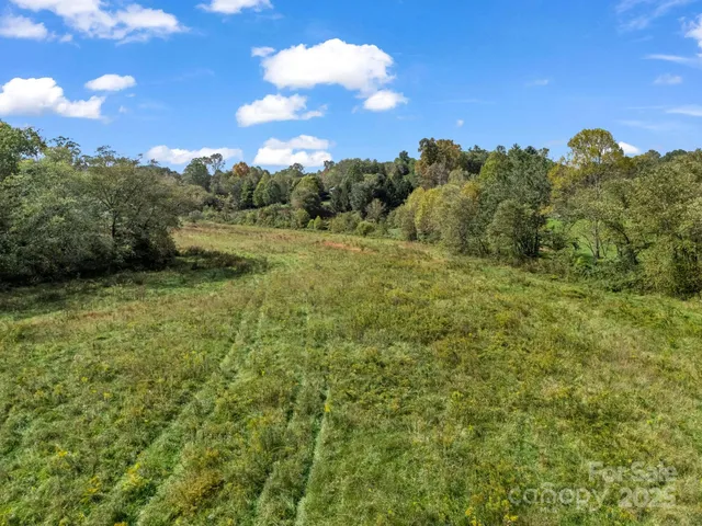 a view of a city with lush green forest
