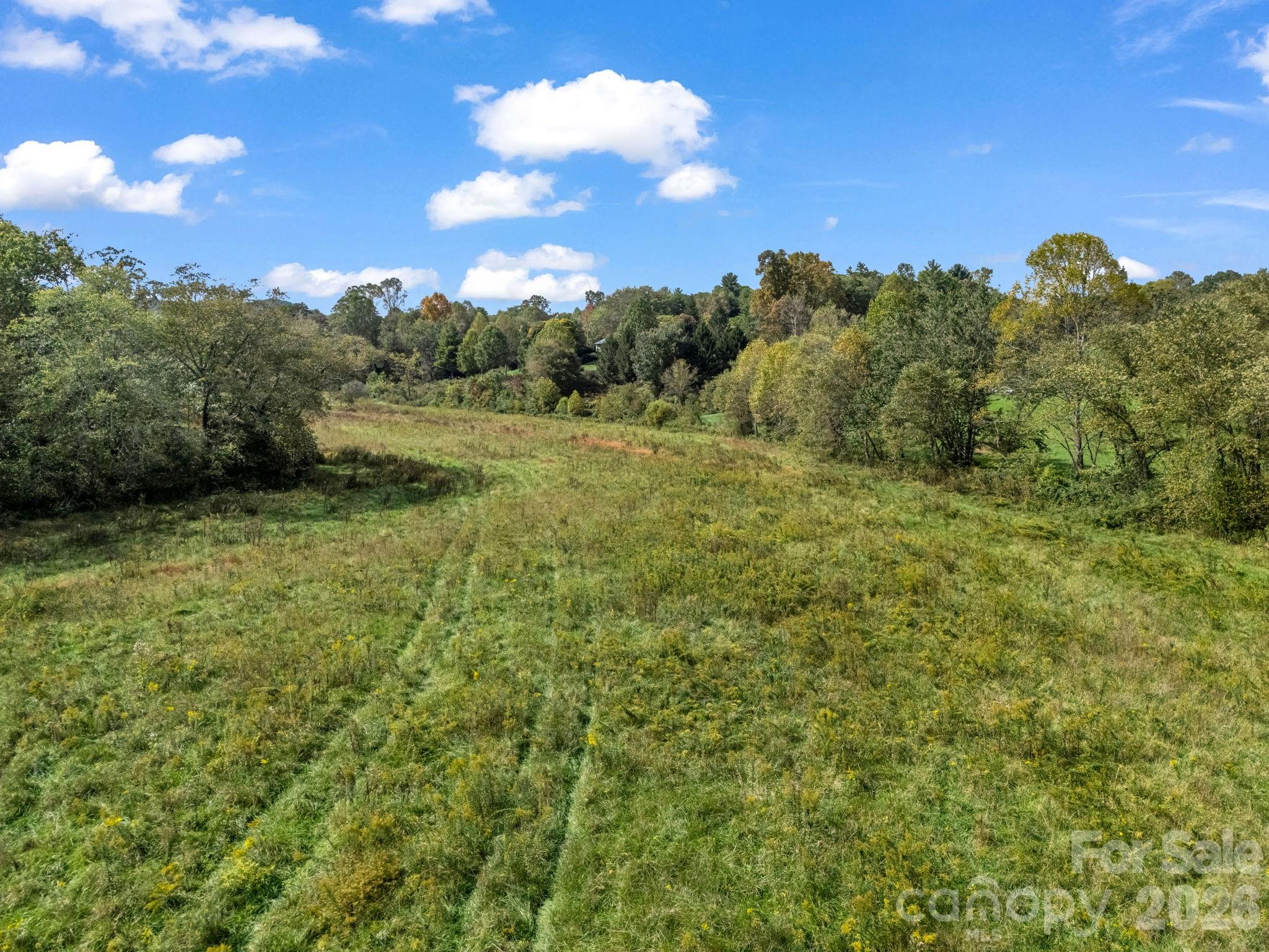 128 Cook Lane Mills River, NC 28759 - Photo 37 of 44