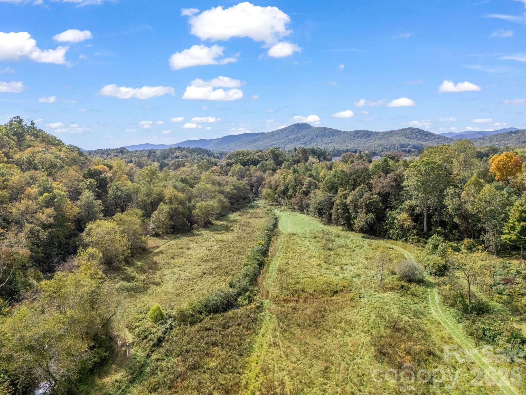 128 Cook Lane Mills River, NC 28759 - Photo 38 of 44