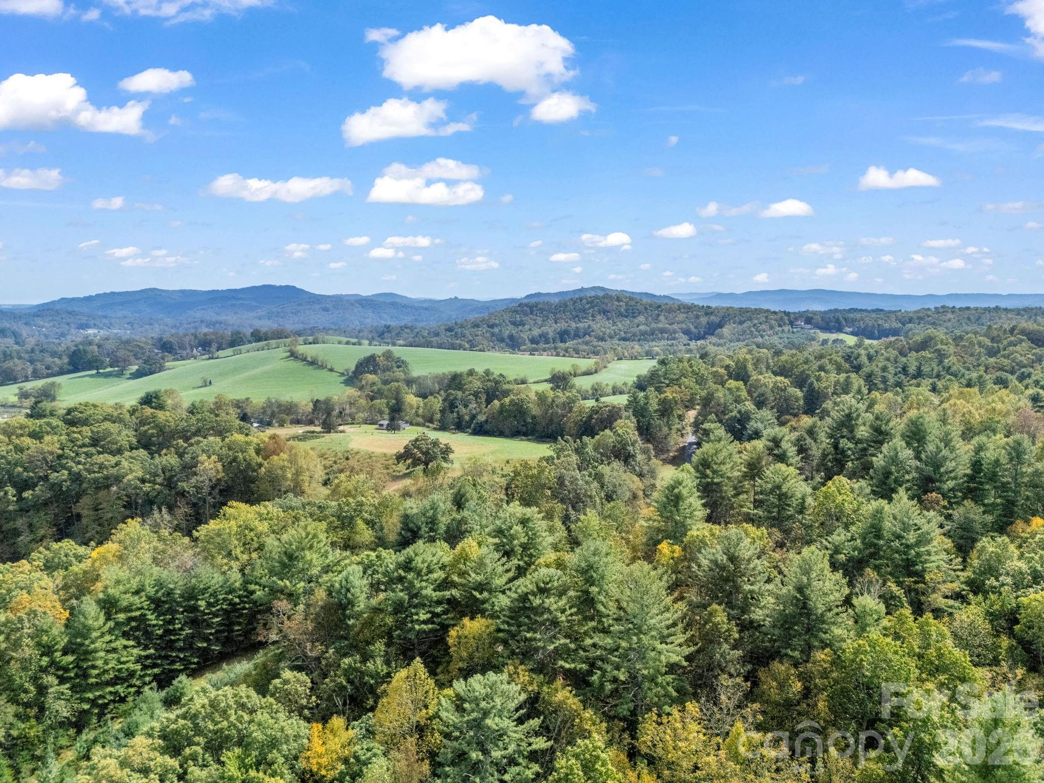 128 Cook Lane Mills River, NC 28759 - Photo 39 of 44