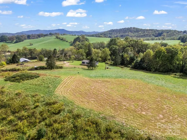 a view of a yard with a tree