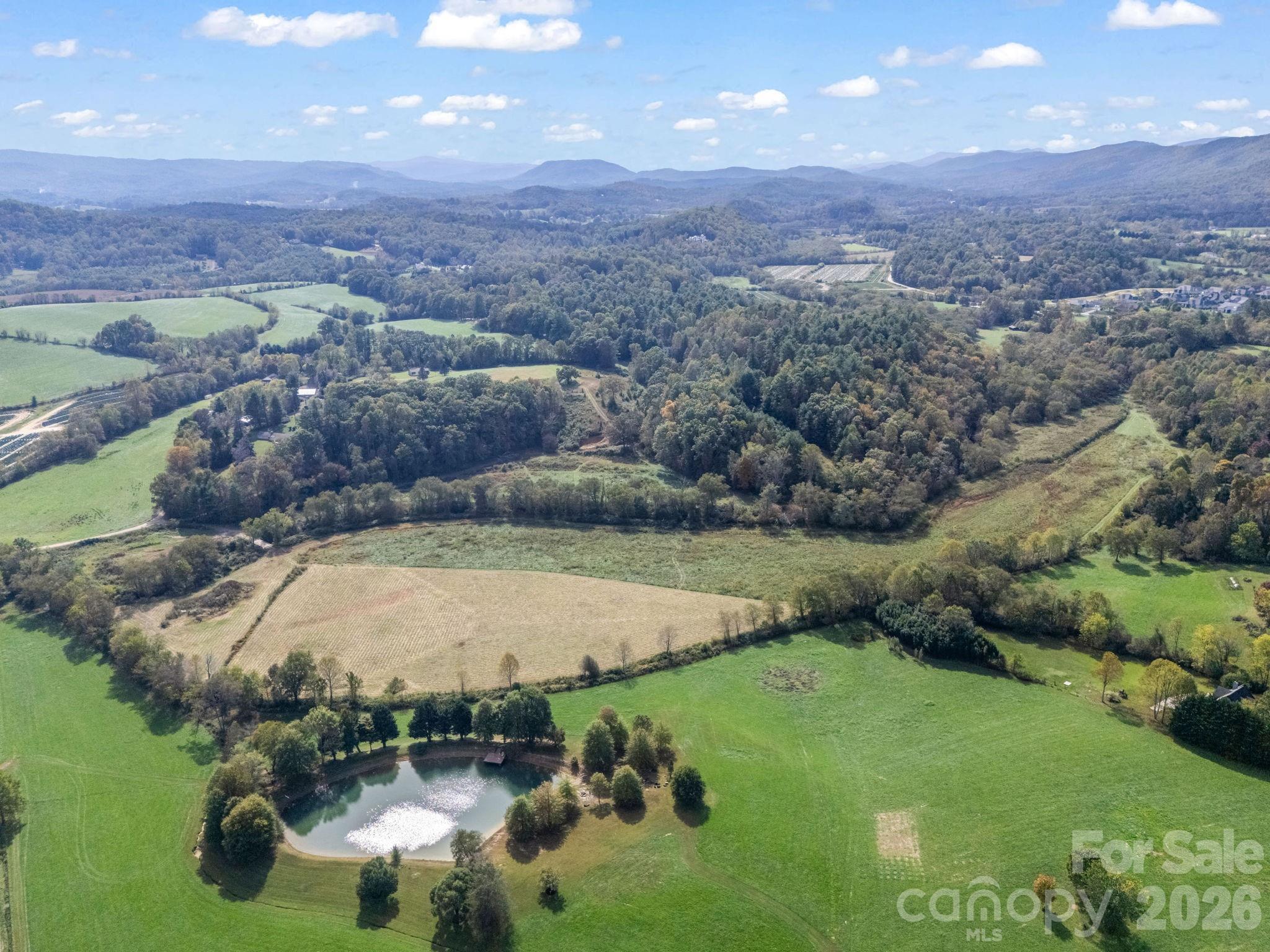 128 Cook Lane Mills River, NC 28759 - Photo 41 of 44