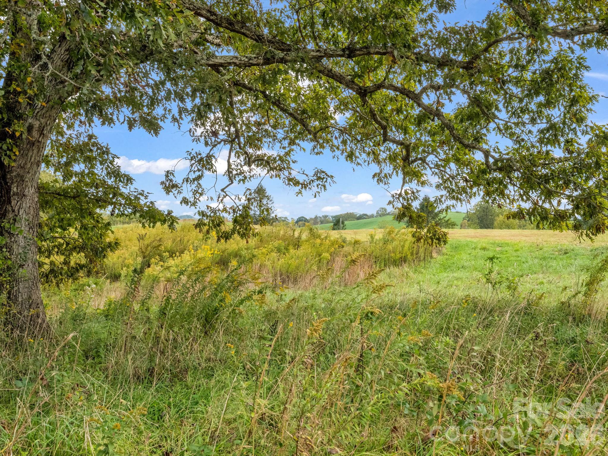 128 Cook Lane Mills River, NC 28759 - Photo 42 of 44