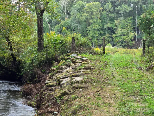 a view of a forest with trees