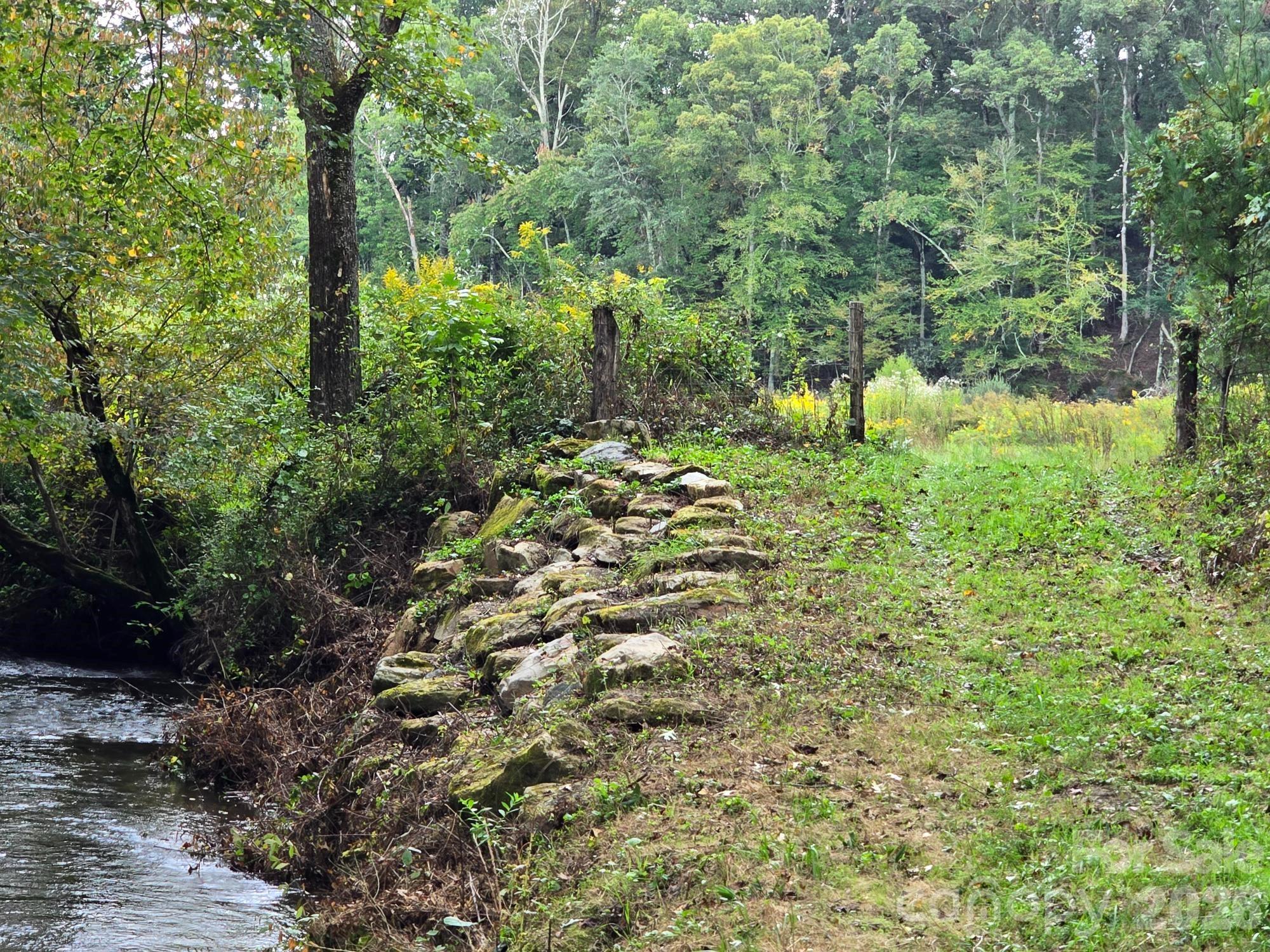 128 Cook Lane Mills River, NC 28759 - Photo 10 of 44