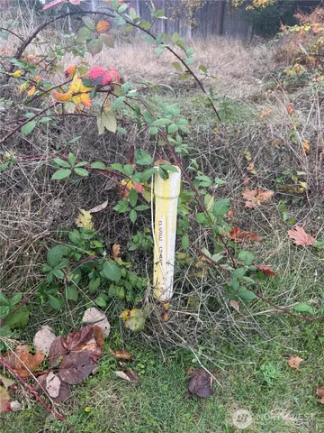 a backyard of a house with a yard and outdoor seating