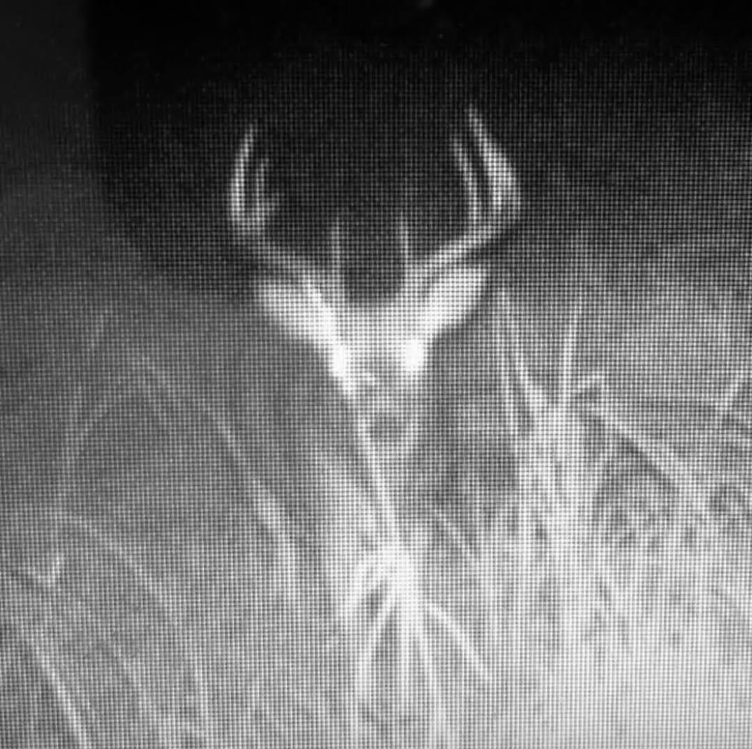 Tbd Marsh Road Milaca, MN 56353 - Photo 15 of 16
