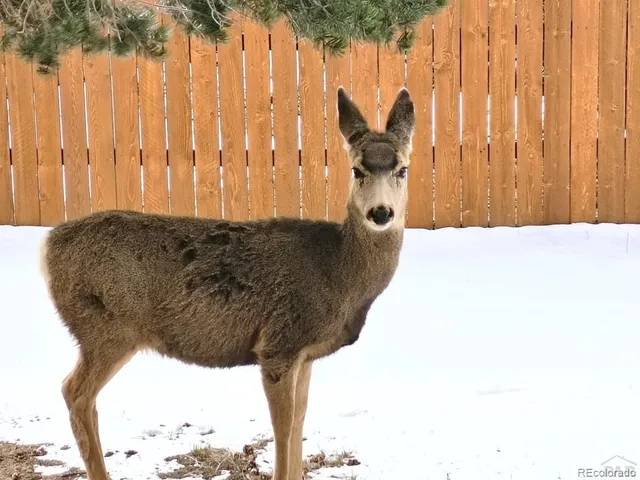 a living room with a couch and a large window