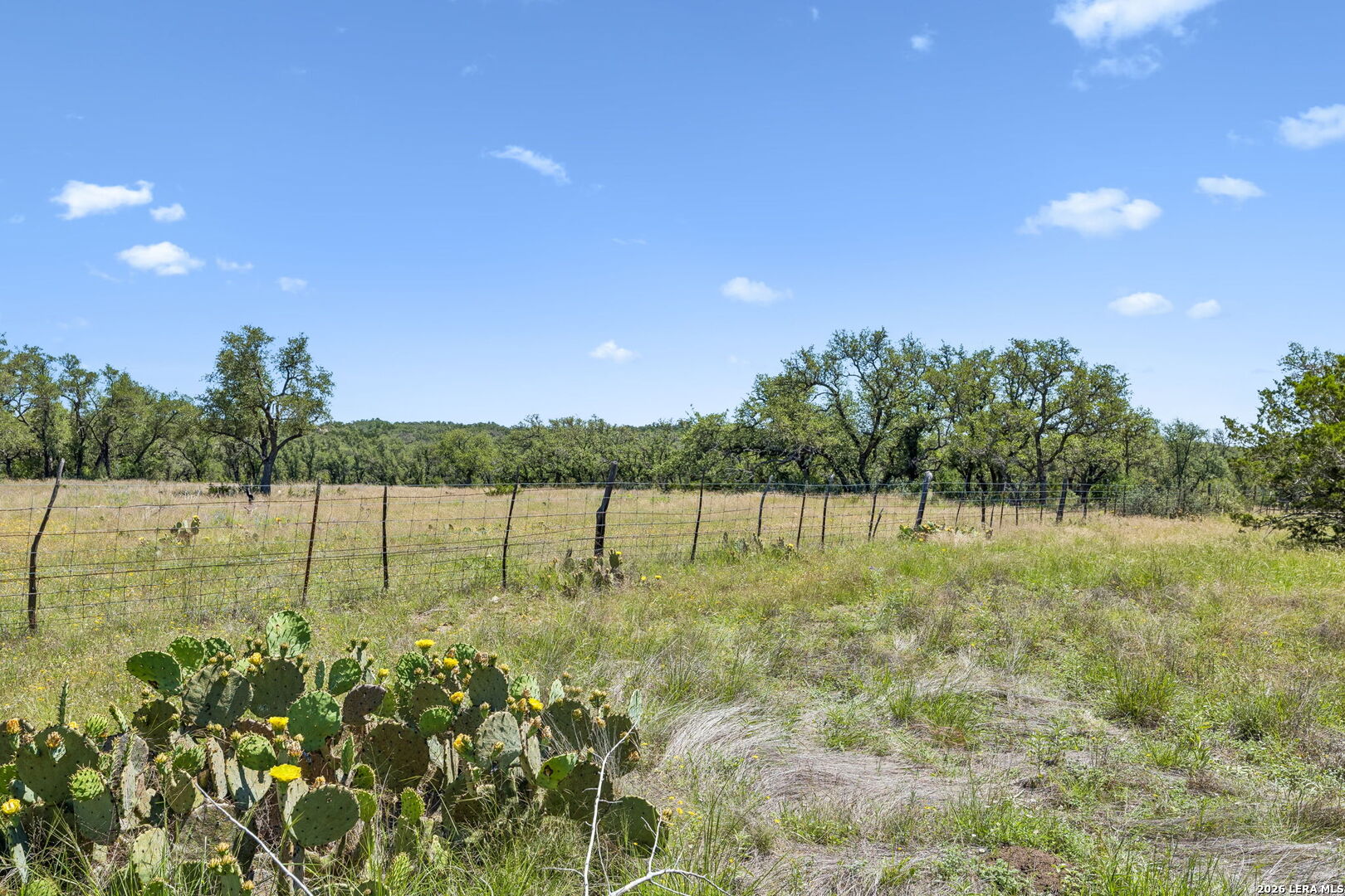 888 Wofford Road London, TX 76854 - Photo 26 of 31