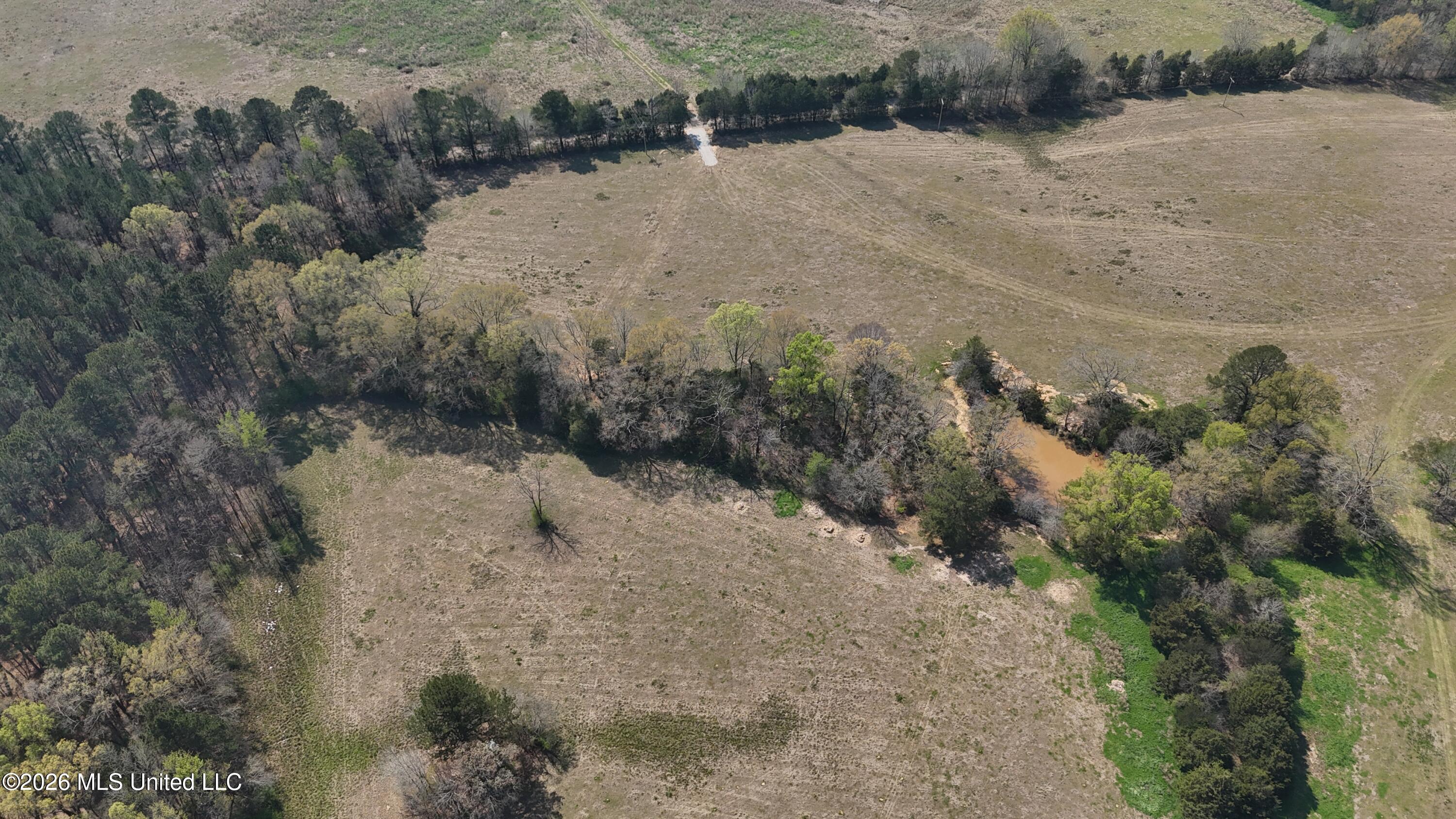 Potluck Road Canton, MS 39046 - Photo 1 of 10 dji_fly_20260319_144004_0701_17744575815