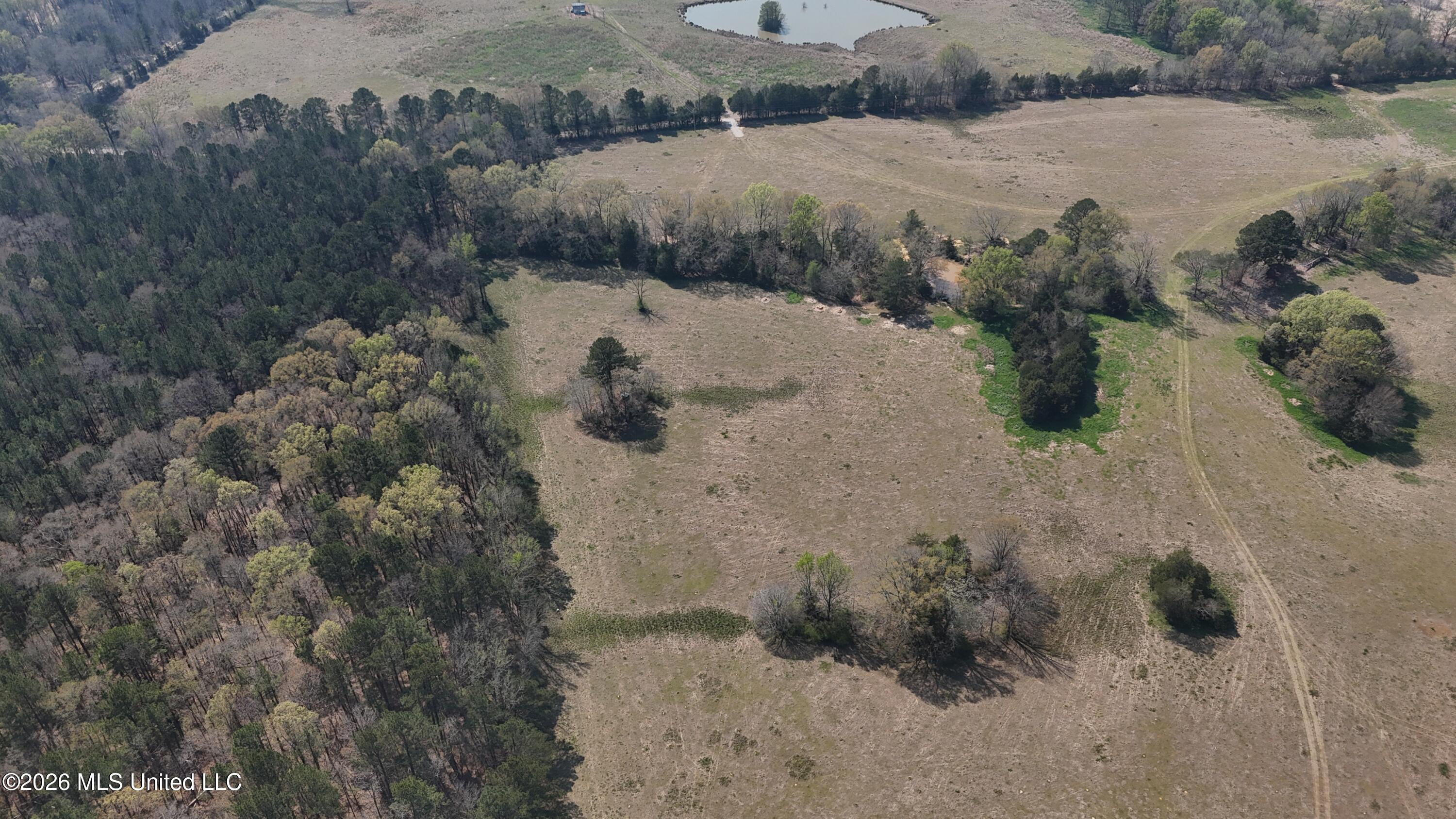 Potluck Road Canton, MS 39046 - Photo 4 of 10 dji_fly_20260319_144044_0702_17744575819