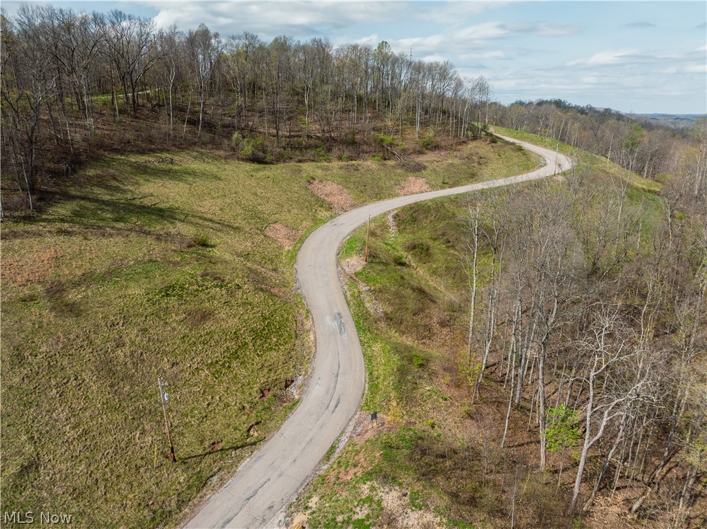 East Captina Highway Road Alledonia, OH 43902 - Photo 5 of 12