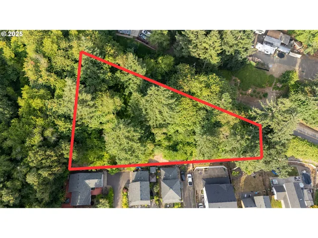 a black and white photo of a house