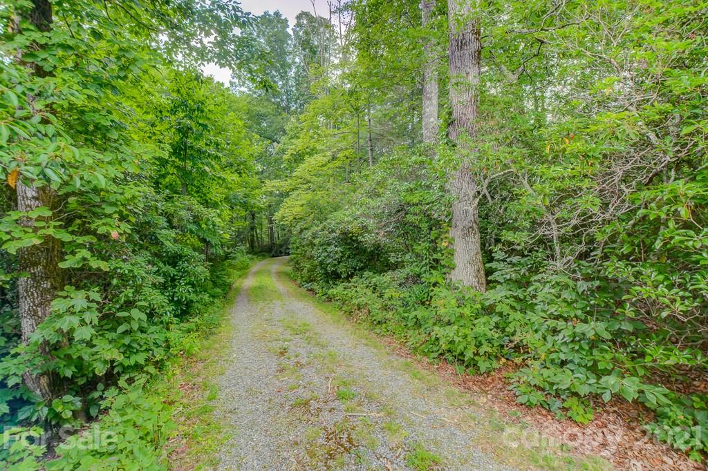 79 Rock Branch Road Fairview, NC 28730 - Photo 39 of 43 Gallery Image 39