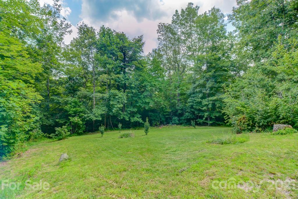 79 Rock Branch Road Fairview, NC 28730 - Photo 41 of 43 Gallery Image 41