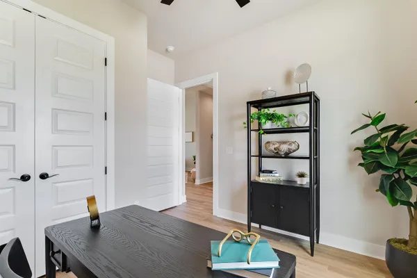 a living room with furniture and a potted plant
