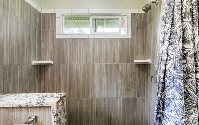 a view of a garden with plants