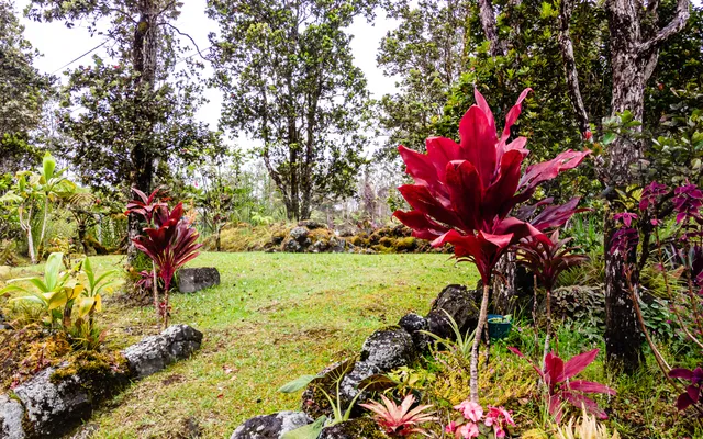 $447,000 | 11-3082 Pa Alii Street, Volcano, HI 96771