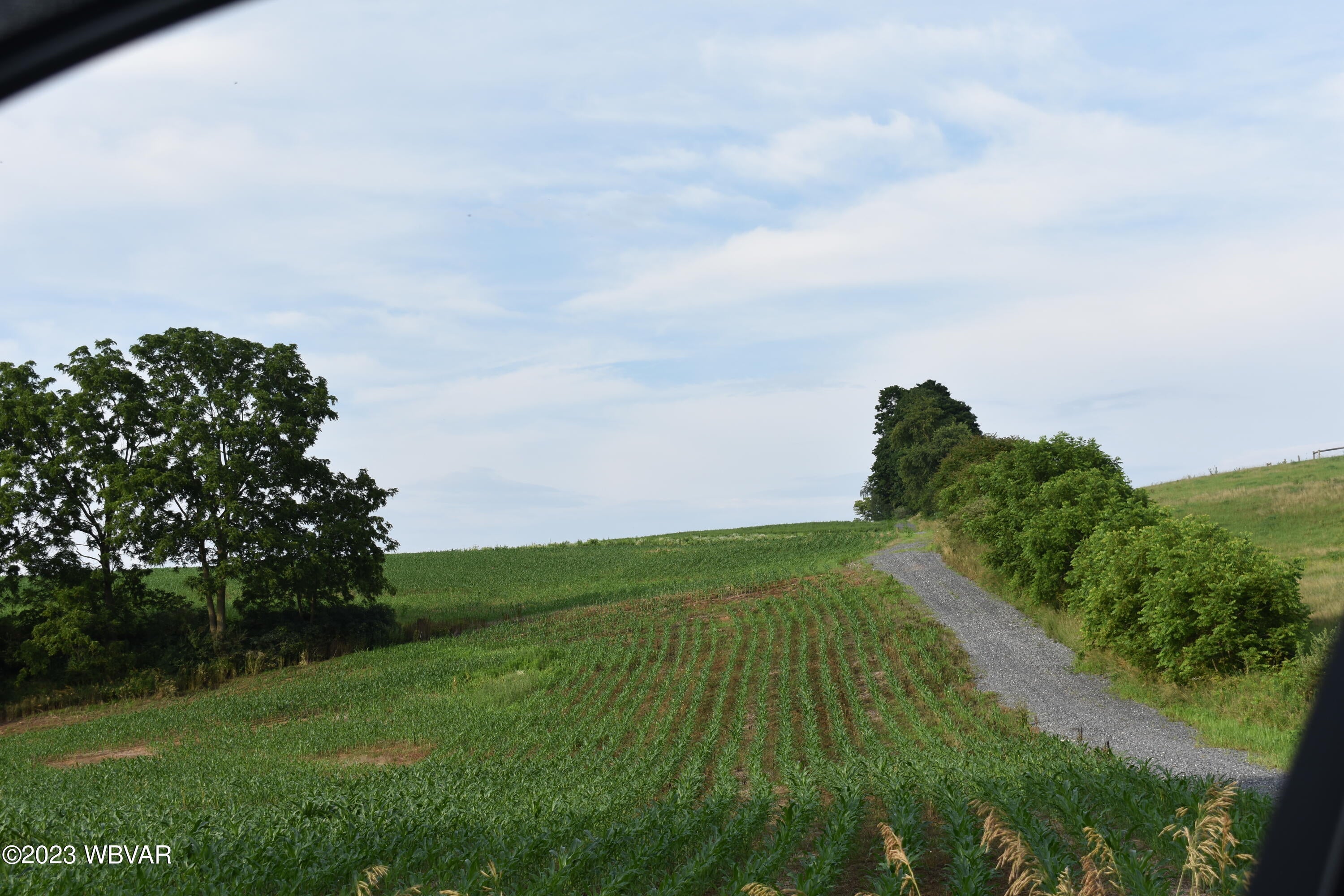 0 Fox Hollow Road Mill Hall, PA 17751 - Photo 12 of 15 Gallery Image 12