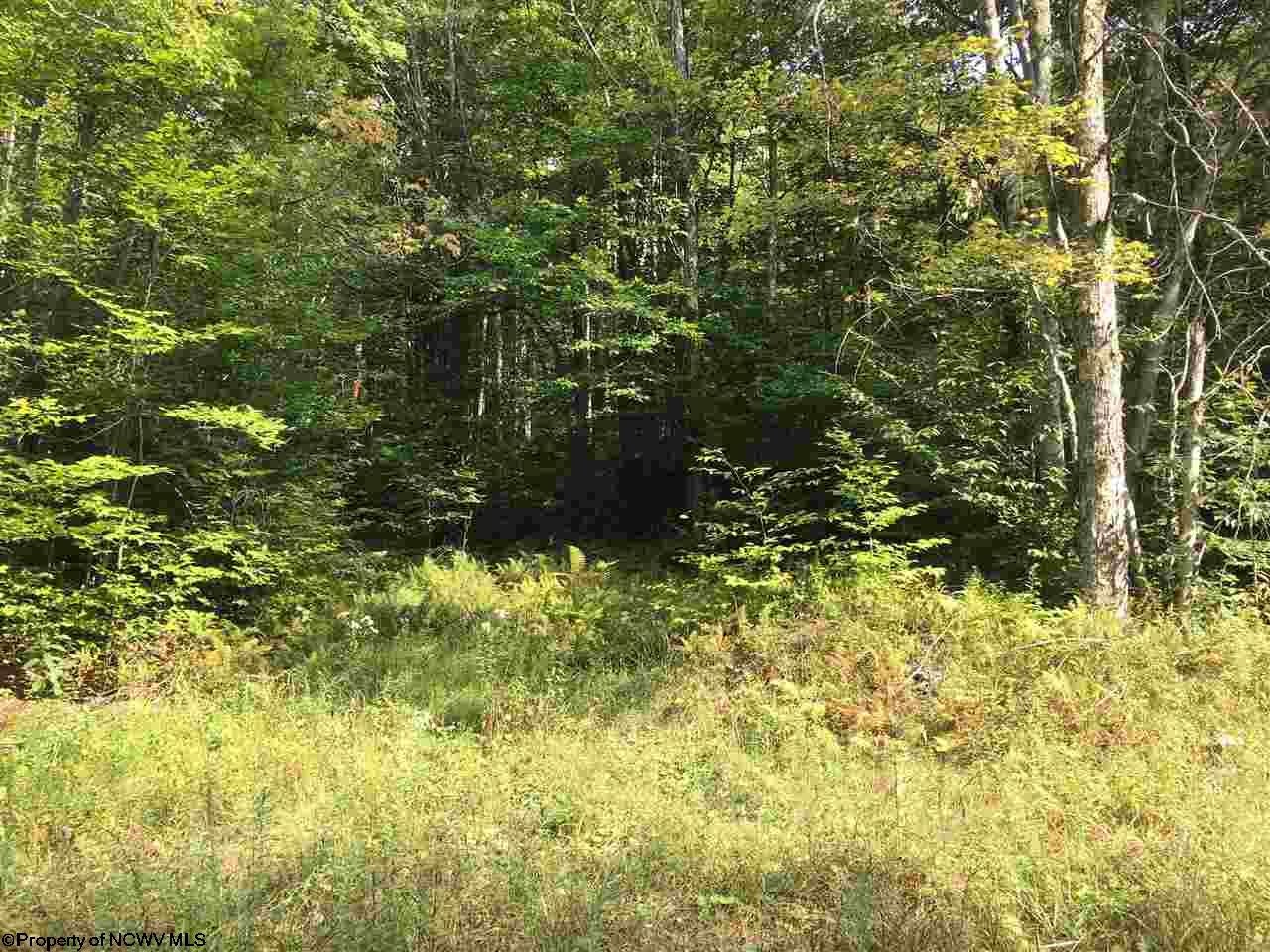 1308 Sand Run Road Davis, WV 26260 - Photo 5 of 30 Gallery Image 5