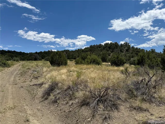 $289,000 | Santa Fe Trail Drive, Trinidad, CO 81082