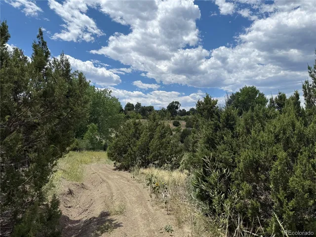 $289,000 | Santa Fe Trail Drive, Trinidad, CO 81082