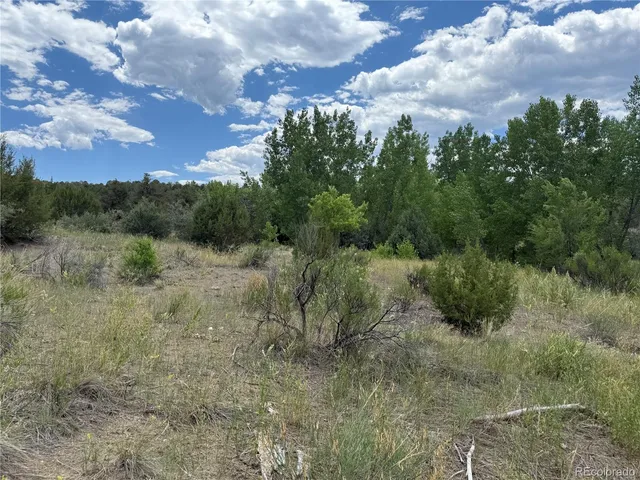 $289,000 | Santa Fe Trail Drive, Trinidad, CO 81082
