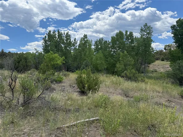 $289,000 | Santa Fe Trail Drive, Trinidad, CO 81082