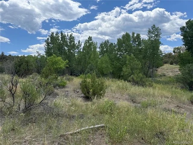 $289,000 | Santa Fe Trail Drive, Trinidad, CO 81082