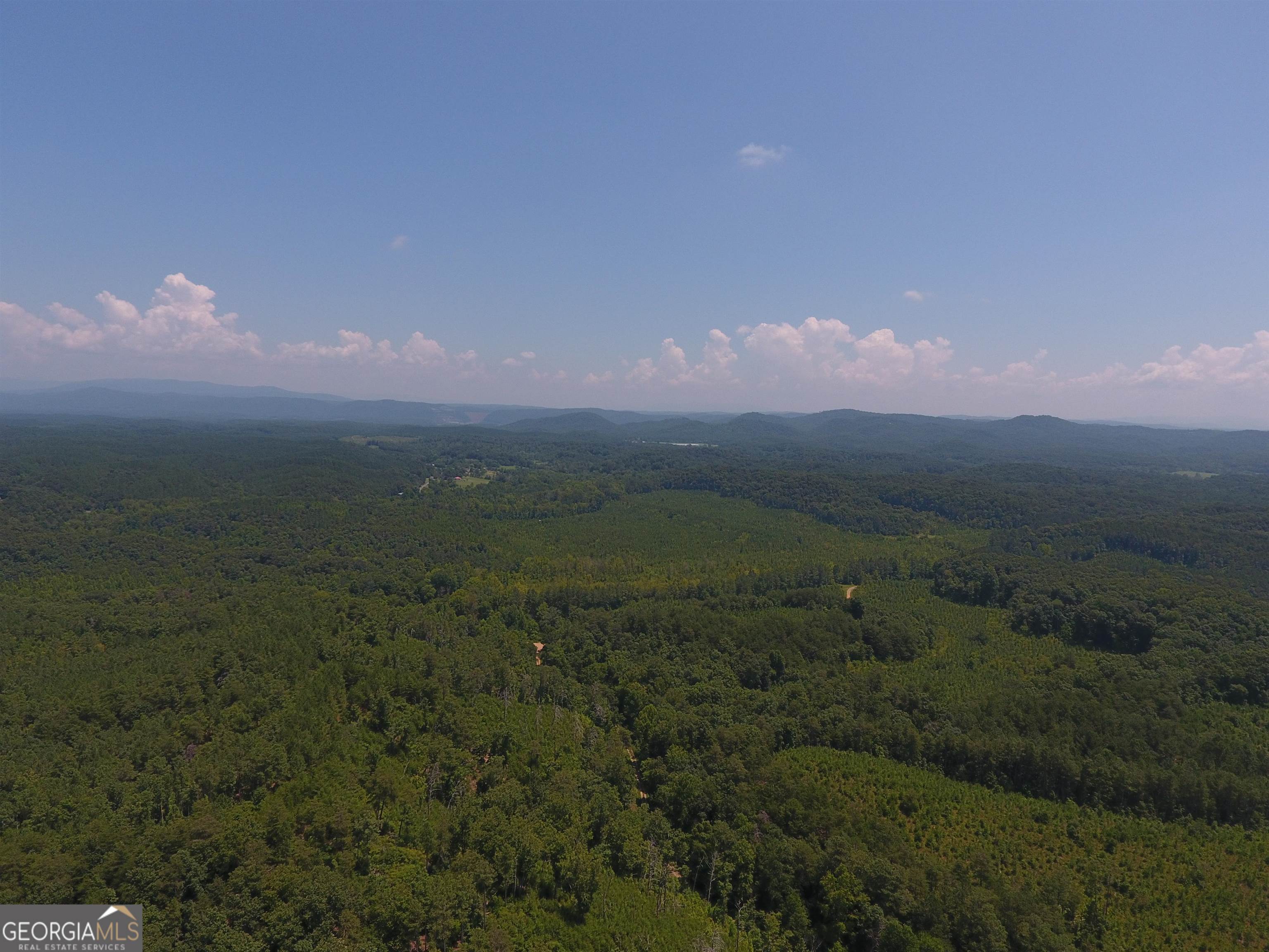 0 Hightower Loop Northeast, Unit 9628D Ranger, GA 30734 - Photo 30 of 38