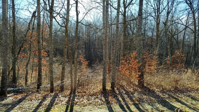 $85,000 | 28515 Fool's Lk Drive, Park Rapids, MN 56470