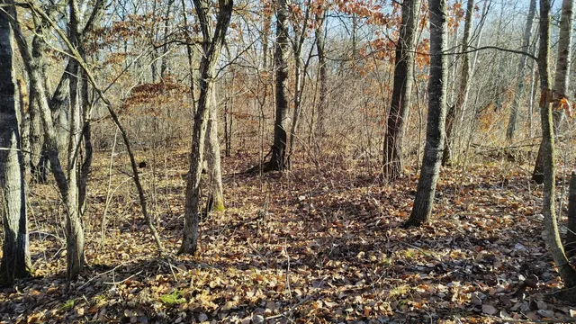 $85,000 | 28515 Fool's Lk Drive, Park Rapids, MN 56470