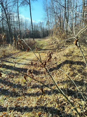 $85,000 | 28515 Fool's Lk Drive, Park Rapids, MN 56470