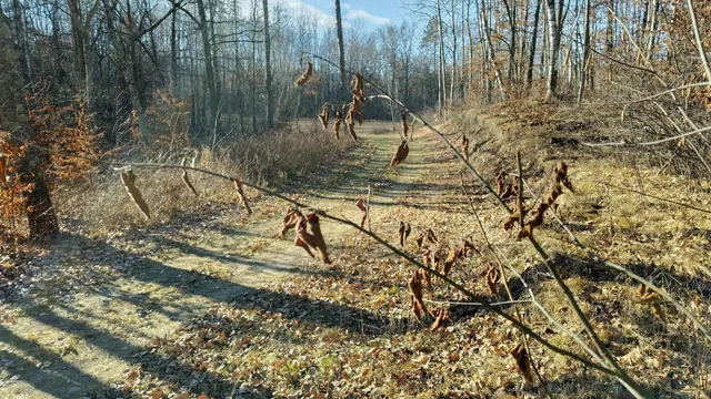 $85,000 | 28515 Fool's Lk Drive, Park Rapids, MN 56470