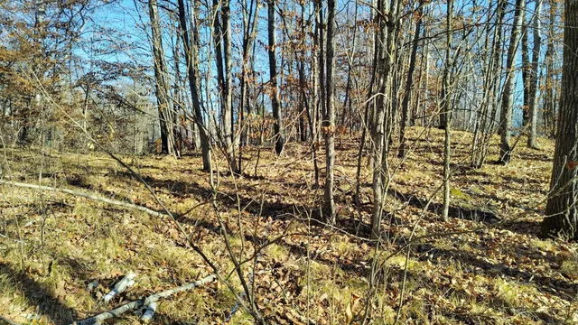 $85,000 | 28515 Fool's Lk Drive, Park Rapids, MN 56470