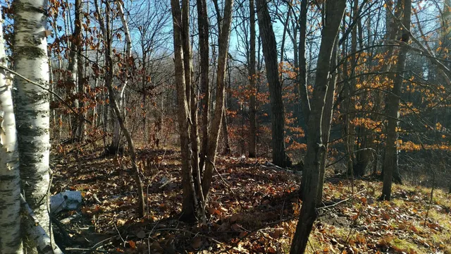 $85,000 | 28515 Fool's Lk Drive, Park Rapids, MN 56470